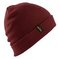 Burton Men's Kactusbunch Beanie