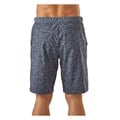 Patagonia Men's Terrebonne Shorts