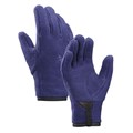 Arc`teryx Women's Delta Gloves