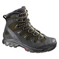 Salomon Men's Quest 4D 2 GTX® Hiking Boots alt image view 1