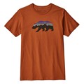 Patagonia Men's Fitz Roy Bear Organic Cotto