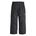 The North Face Boy's Freedom Insulated Pants
