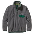 Patagonia Men's Synchilla Snap-T Fleece Pullover alt image view 9