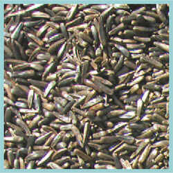 Cole's Finch Wild Bird Food Niger Seed 10 lb.