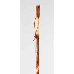 Brazos Walking Sticks