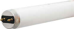 GE Lighting 32 watts T8 48 in. Daylight Fluorescent Bulb 2900 lumens 36 pk Linear