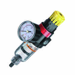 Tru-Flate Plastic Filter and Regulator with Gauge 1/4 in. NPT 250 psi 1 pc