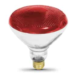 Ace 100 watts PAR38 Incandescent Bulb Red 1 pk Floodlight