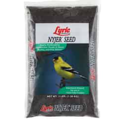 Lyric Finch Wild Bird Food Nyjer Seed 3 lb.