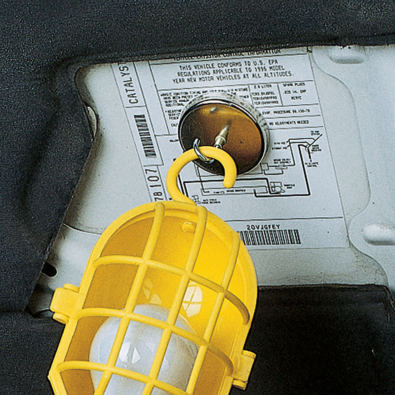 image-6