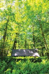 ENO 74 in. W x 112 in. L Hammock