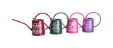 Panacea Assorted 3/4 gal. Steel Watering Can