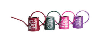 Panacea Assorted 3/4 gal. Steel Watering Can