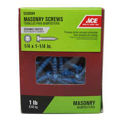 Ace 1/4 in. x 1-1/4 in. L Slotted Hex Washer Head Ceramic Steel Masonry Screws 85 pk 1 lb.