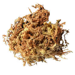 Mosser Lee Organic Sphagnum Peat Moss 432 cu. in.