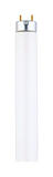 Westinghouse 25 watts T8 48 in. Cool White Fluorescent Bulb 2500 lumens Linear 1 pk