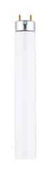 Westinghouse 25 watts T8 48 in. Cool White Fluorescent Bulb 2500 lumens Linear 1 pk