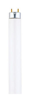 Westinghouse 25 watts T8 48 in. Cool White Fluorescent Bulb 2500 lumens Linear 1 pk