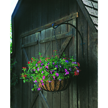 Panacea Black Iron 13 in. H Curved Plant Hook