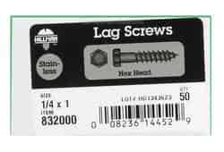 HILLMAN 1 in. L x 1/4 in. Hex Stainless Steel Lag Screw 50 pk