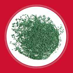 Pennington Seed
