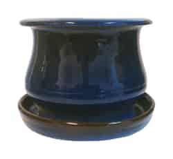 Trendspot 6 in. H x 6 in. W Blue Ceramic Ceramic Pot