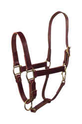 Hamilton Leather Average Halter
