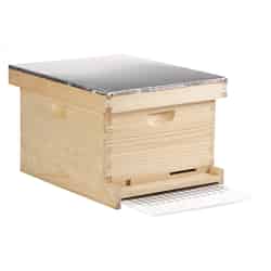 Little Giant Complete Bee Hive
