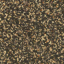 Kaytee Finch Wild Bird Food Canary Grass Seed 3 lb.