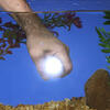 image-5