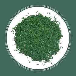 Pennington Seed