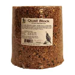 Sahuaro Seed Block Quail Bird Food Block Corn 15 lb.