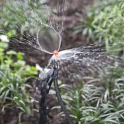 Raindrip Adjustable Low-Flow Sprinkler Head