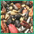 Cole's Special Feeder Assorted Species Wild Bird Food Black Oil Sunflower 5 lb.