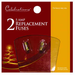 Celebrations Incandescent Mini Christmas Light Bulbs Clear 2 pk