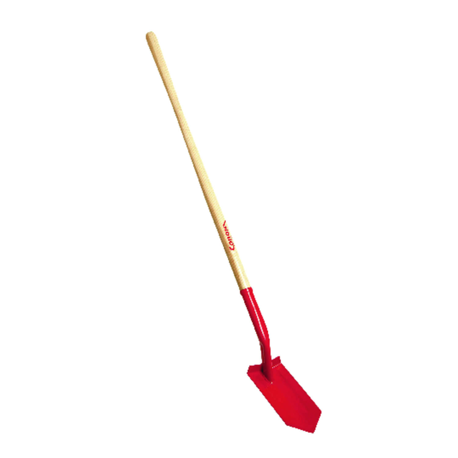 image-1
