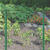 Garden Zone 60 in. H X 50 ft. L Galvanized Steel Garden Fence Silver