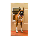 Petsafe Pet Door Large For Pets up to 100 lb. 10-1/8 in. x 15-3/4 in. White Aluminum