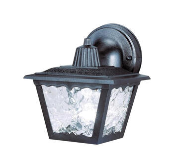 Westinghouse Matte Black Incandescent Light Fixture