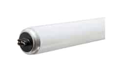 GE Lighting 95 watts T12 96 in. Cool White Fluorescent Bulb Linear 1 pk 8850 lumens