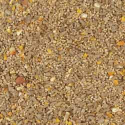 Kaytee Waste Free Assorted Species Wild Bird Food Sunflower Seeds 10 lb.