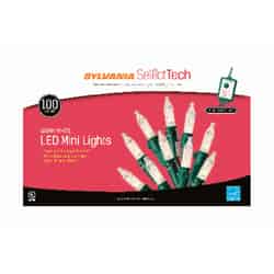 Sylvania Select Tech LED M7 Light Set Warm White 24.75 100 lights