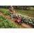 Troy-Bilt OHV 208 cc Tiller 10 in.