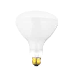 Satco Pool Lamp 500 watts BR40 Incandescent Bulb 5500 lumens Soft White Floodlight 1 pk
