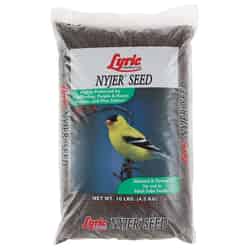 Lyric Finch Wild Bird Food Nyjer Seed 10 lb.