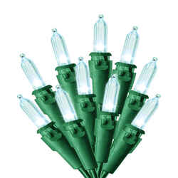 Celebrations Basic LED Mini Cool White 100 ct String Christmas Lights 24.75 ft.