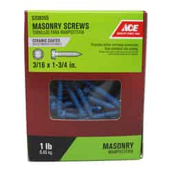 Ace 3/16 in. x 1-3/4 in. L Slotted Hex Washer Head Ceramic Steel Masonry Screws 105 pk 1 lb.