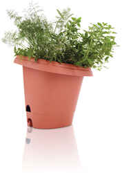 Bloem 13 in. H Resin Hanging Basket Terracotta Clay