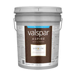 Valspar Aspire Flat Basic White Paint and Primer Exterior 5 gal