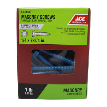 Ace 1/4 in. x 2-3/4 in. L Slotted Hex Head Ceramic Steel Masonry Screws 40 pk 1 lb.